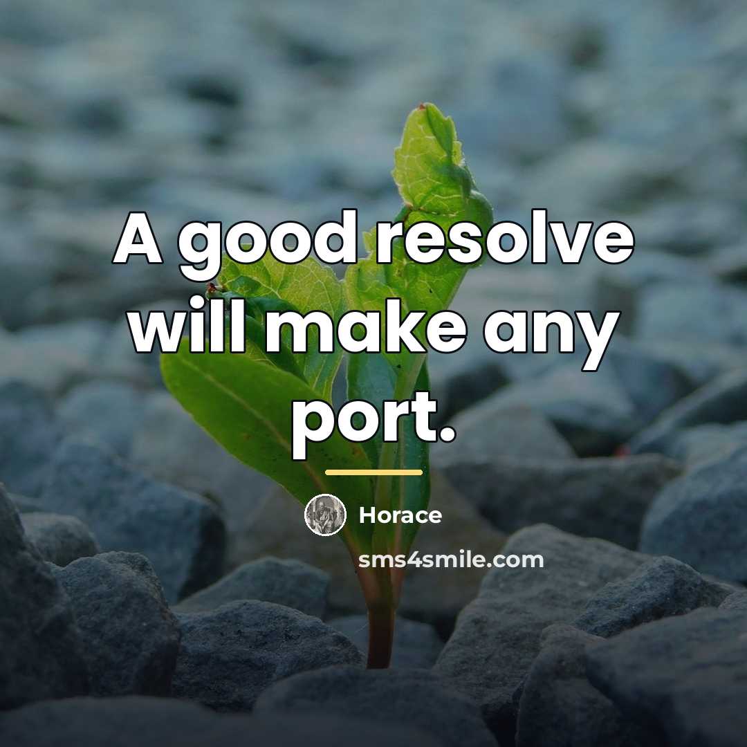 “A good resolve will make any port.…” quote by Horace