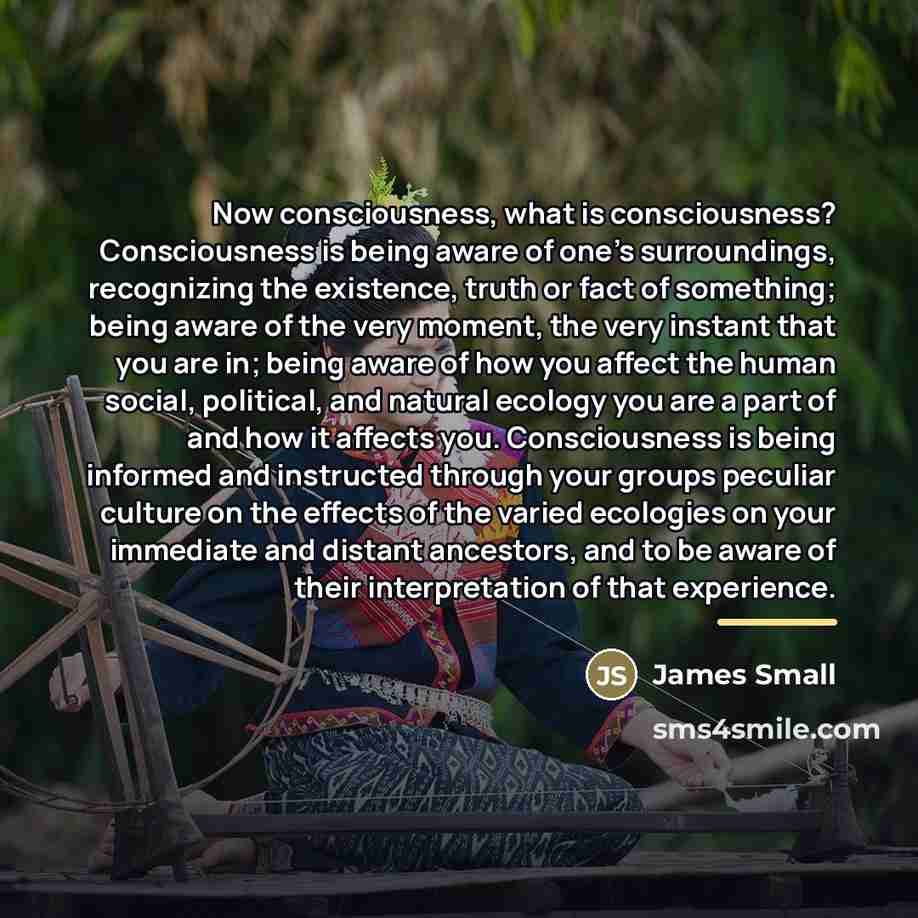 “Now consciousness, what is consciousness? Consciousness is being aware of…” quote by James Small