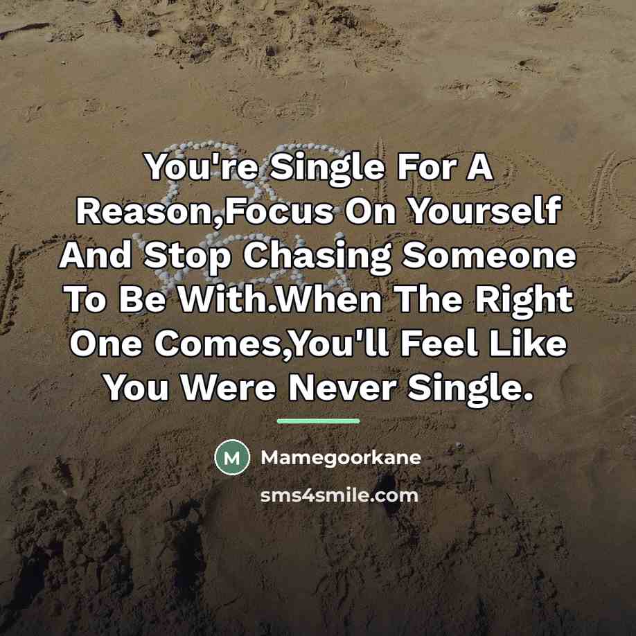 “You're Single For A Reason,Focus On Yourself And Stop Chasing…” quote by Mamegoorkane