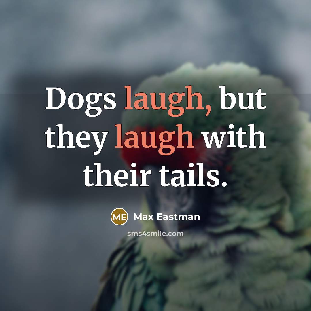 “Dogs laugh, but they laugh with their tails.” quote by Max Eastman