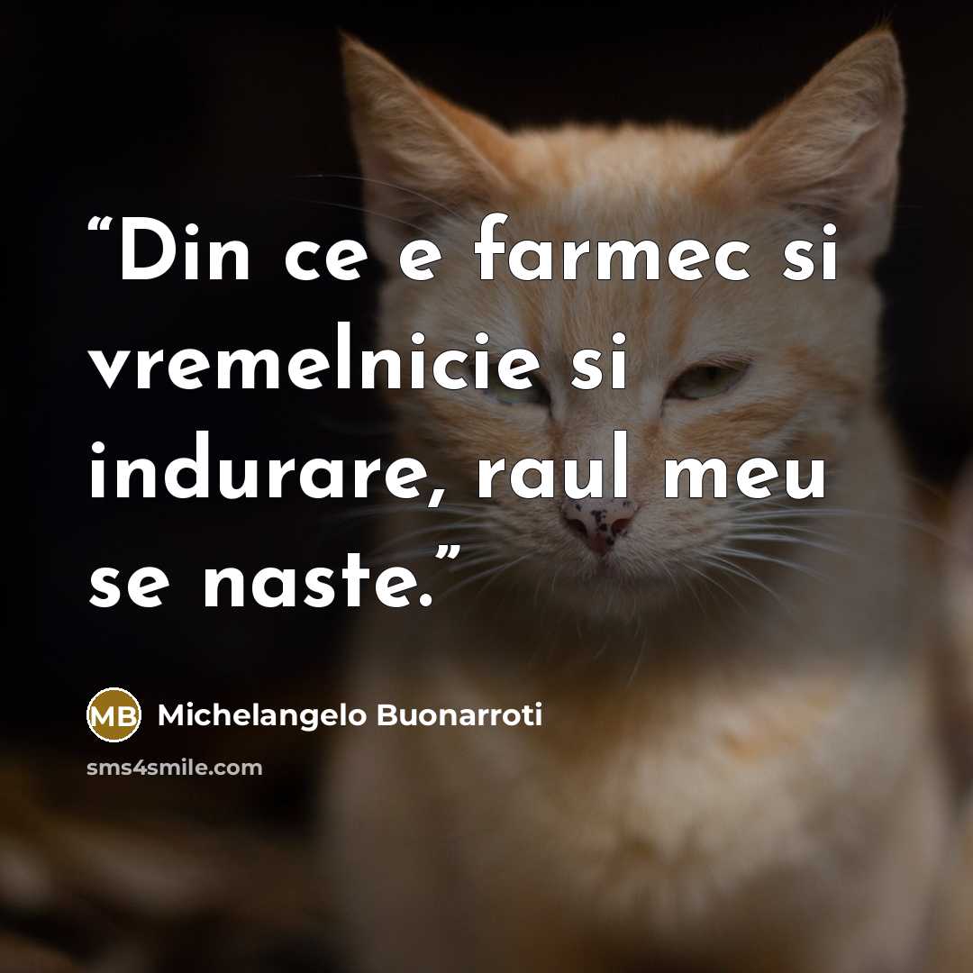 “Din ce e farmec si vremelnicie si indurare, raul meu se naste.” quote by Michelangelo Buonarroti