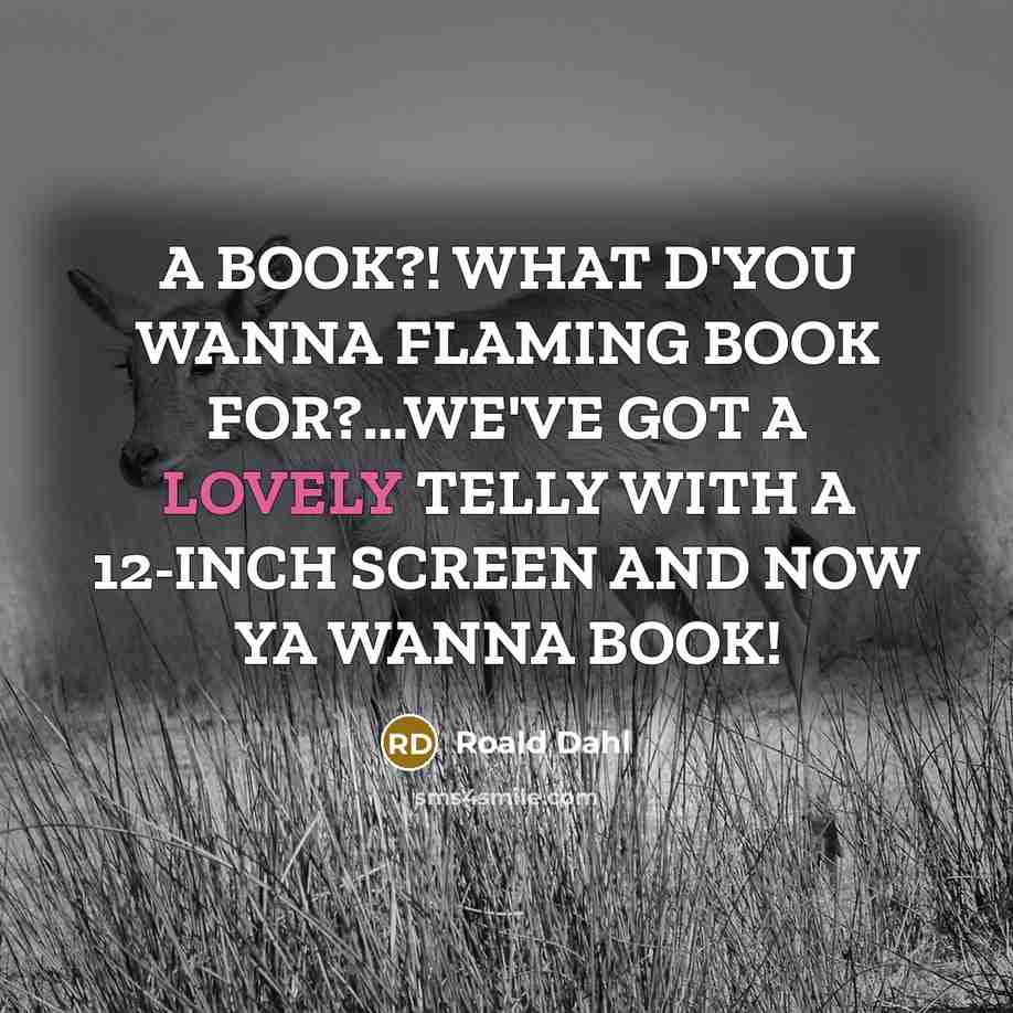 “A BOOK?! WHAT D'YOU WANNA FLAMING BOOK FOR?...WE'VE GOT A…” quote by Roald Dahl