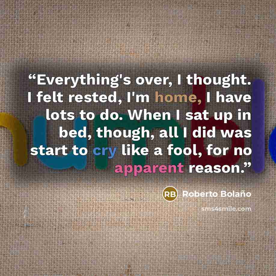“Everything's over, I thought. I felt rested, I'm home, I have lots to do. When I sat up in bed, though, all I did was start to cry like a fool, for no apparent reason.” quote by Roberto Bolaño