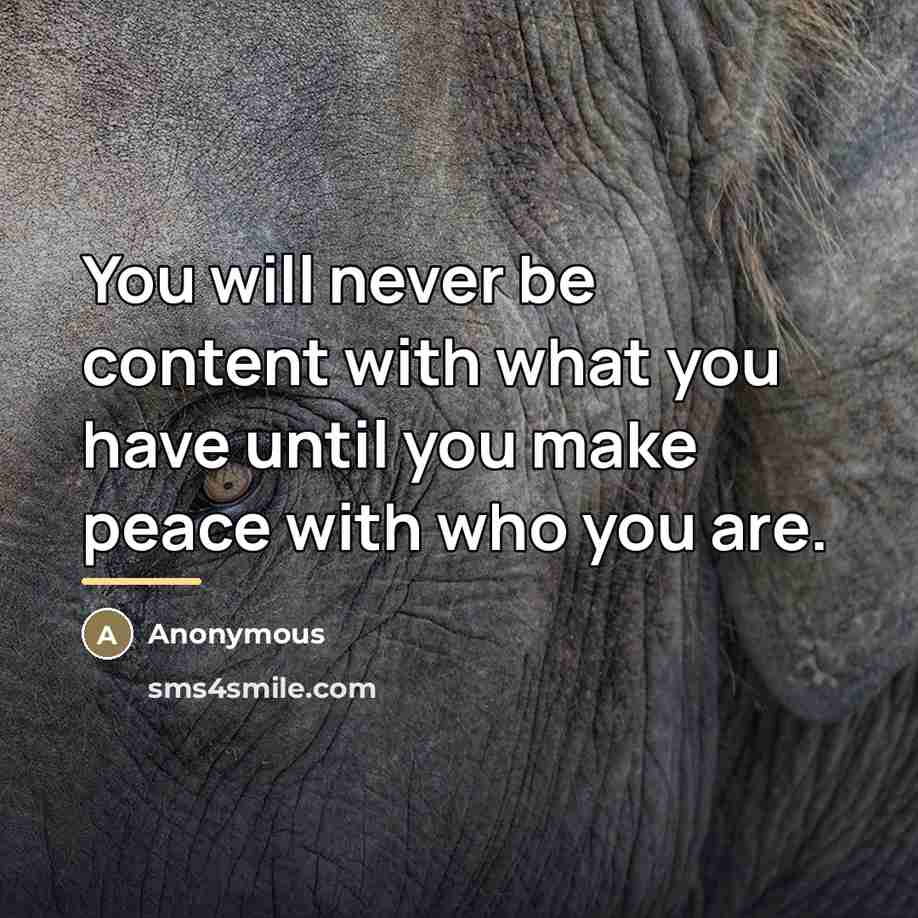 “You will never be content with what you have until…” quote by Anonymous