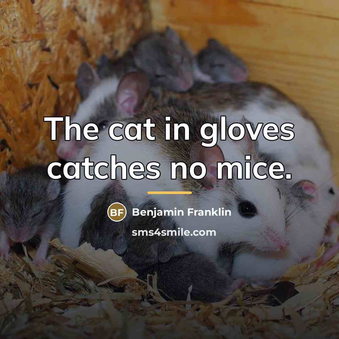 “The cat in gloves catches no mice.…” quote by Benjamin Franklin