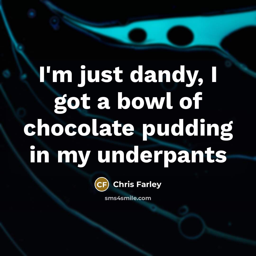 “I'm just dandy, I got a bowl of chocolate pudding…” quote by Chris Farley