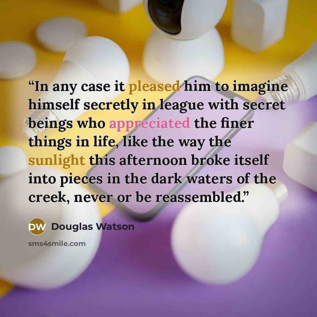 “In any case it pleased him to imagine himself secretly in league with secret beings who appreciated the finer things in life, like the way the sunlight this afternoon broke itself into pieces in the dark waters of the creek, never or be reassembled.” quote by Douglas Watson