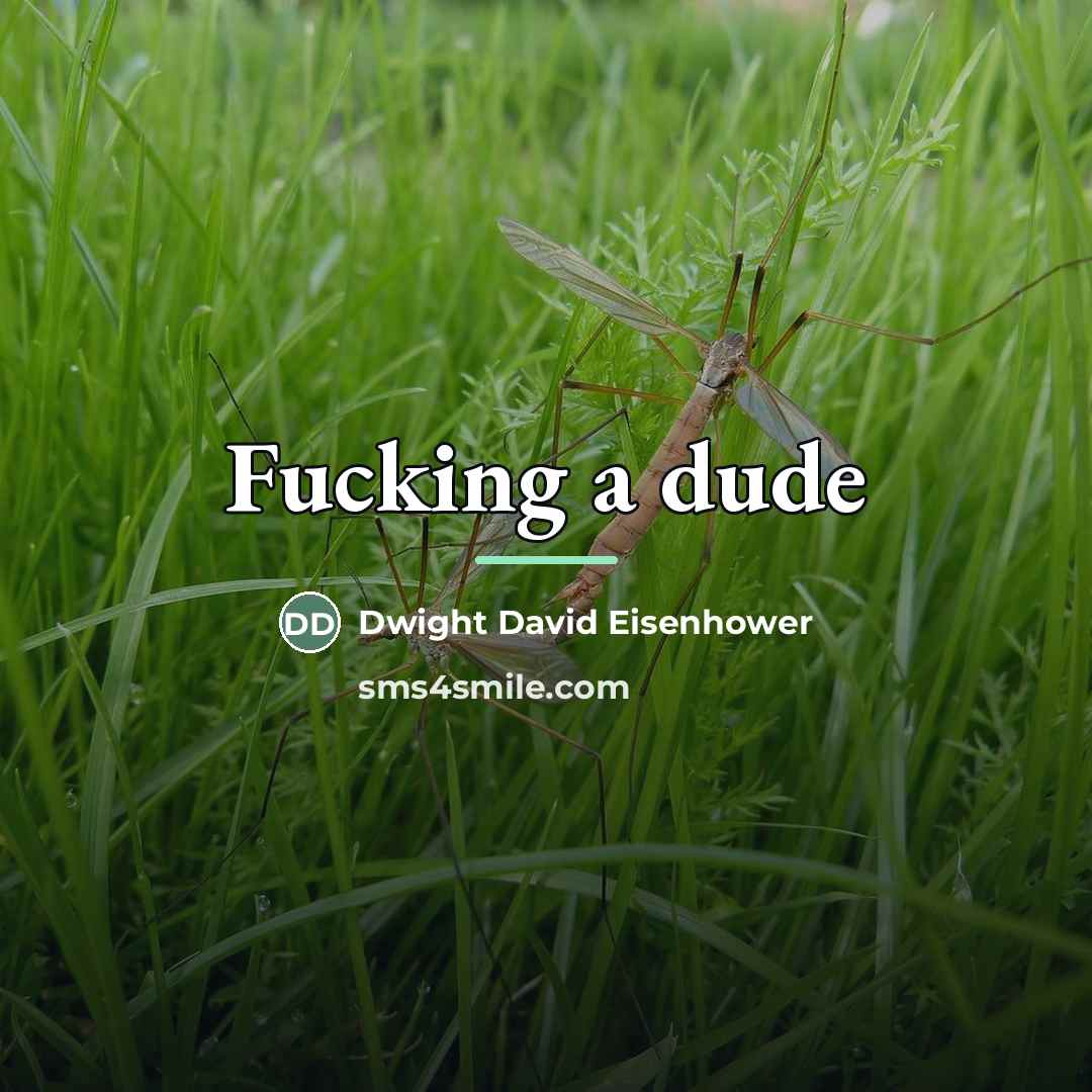 “Fucking a dude…” quote by Dwight David Eisenhower