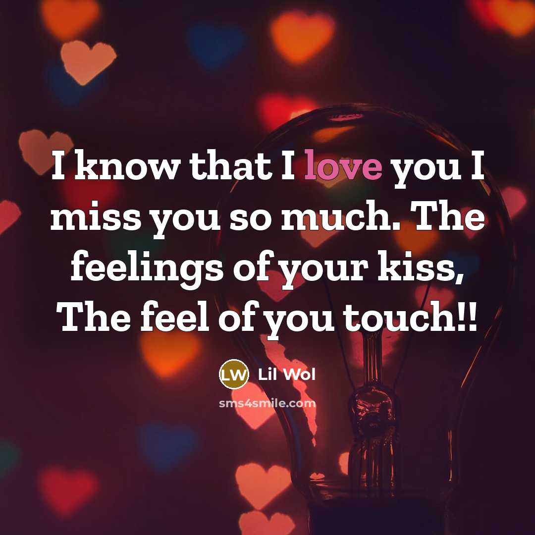 “I know that I love you I miss you so much. The feelings of your kiss, The feel of you touch!!” quote by Lil Wol
