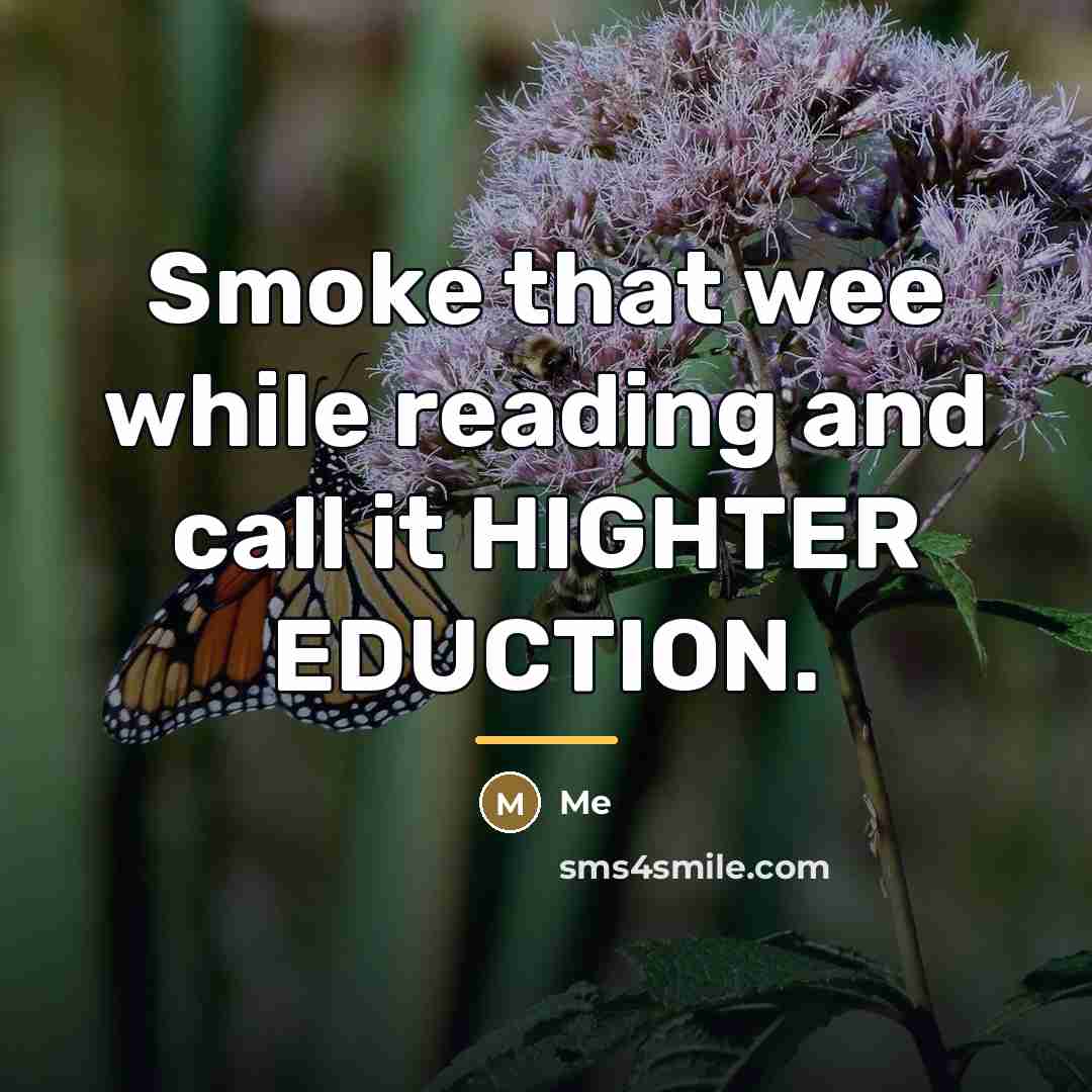 “Smoke that wee while reading and call it HIGHTER EDUCTION.…” quote by ME