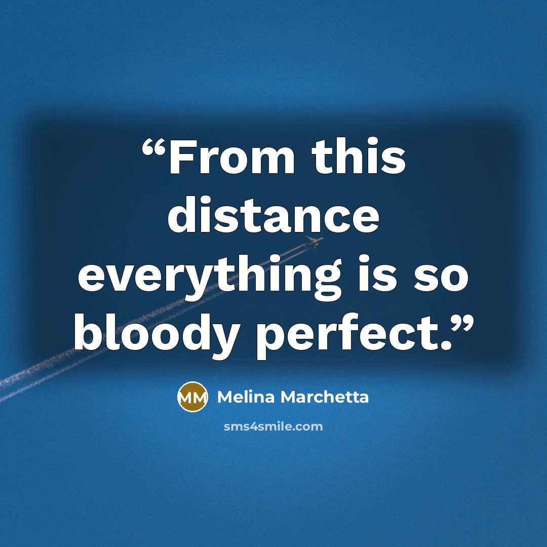 “From this distance everything is so bloody perfect.” quote by Melina Marchetta