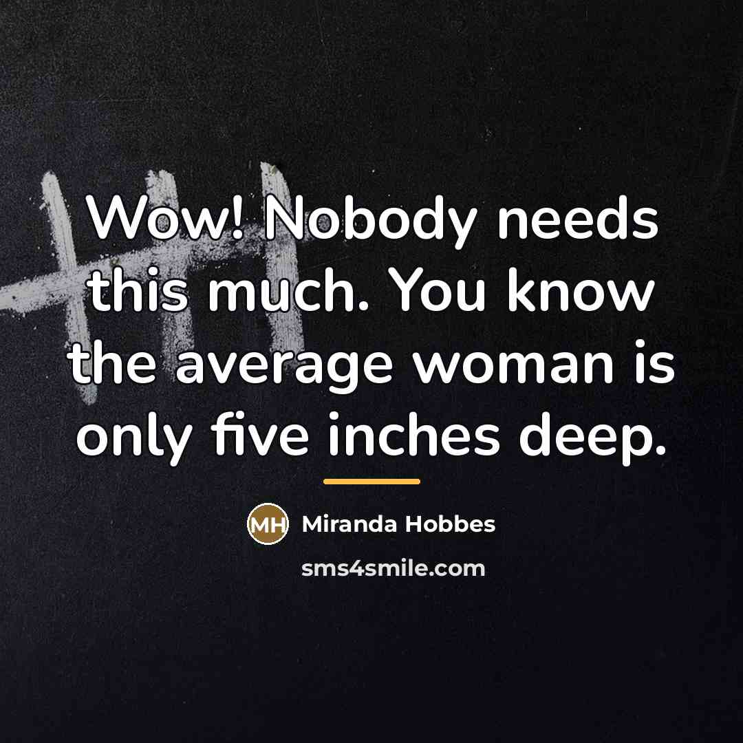 “Wow! Nobody needs this much. You know the average woman…” quote by Miranda Hobbes