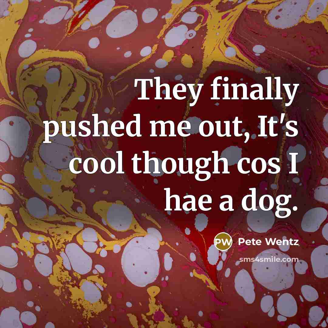 “They finally pushed me out, It's cool though cos I…” quote by Pete Wentz