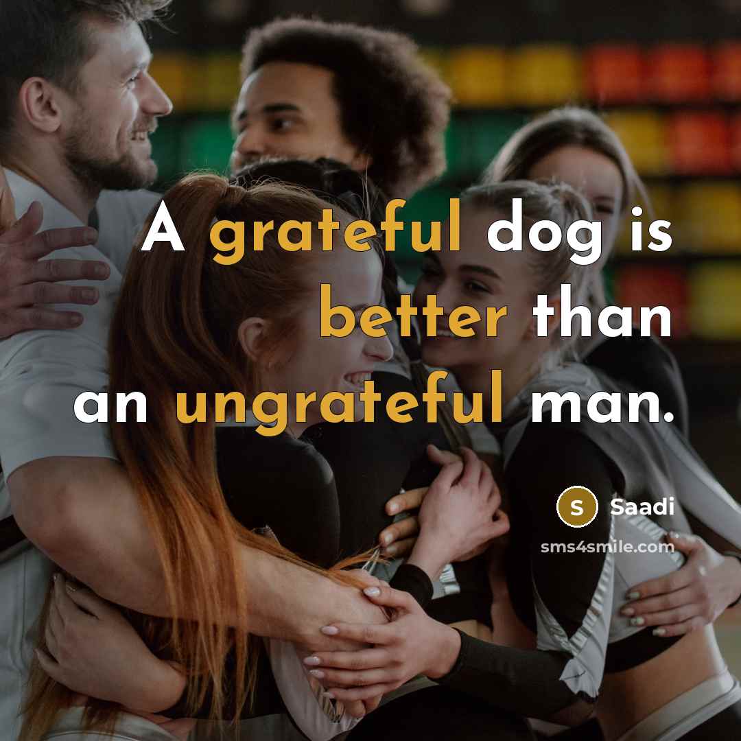 “A grateful dog is better than an ungrateful man.” quote by Saadi