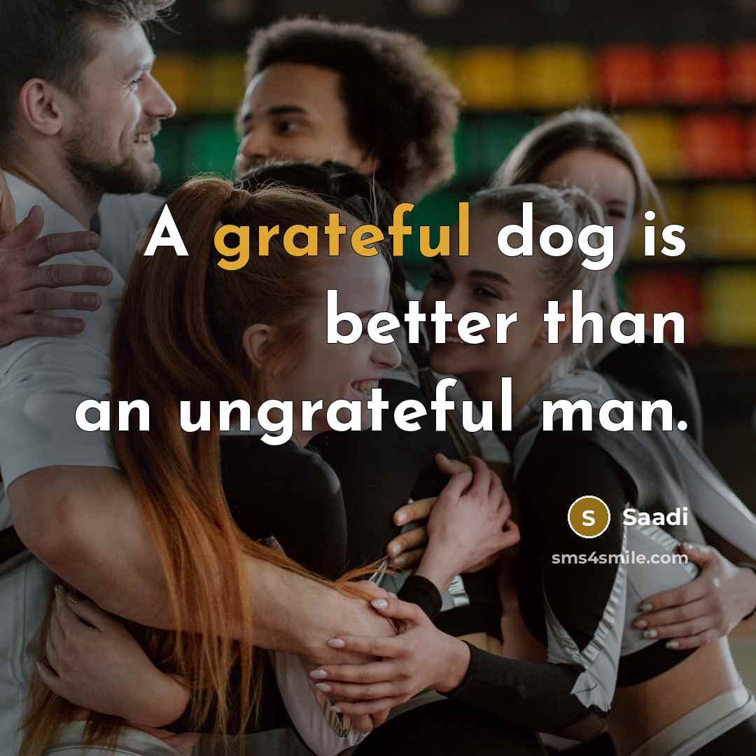 “A grateful dog is better than an ungrateful man.…” quote by Saadi