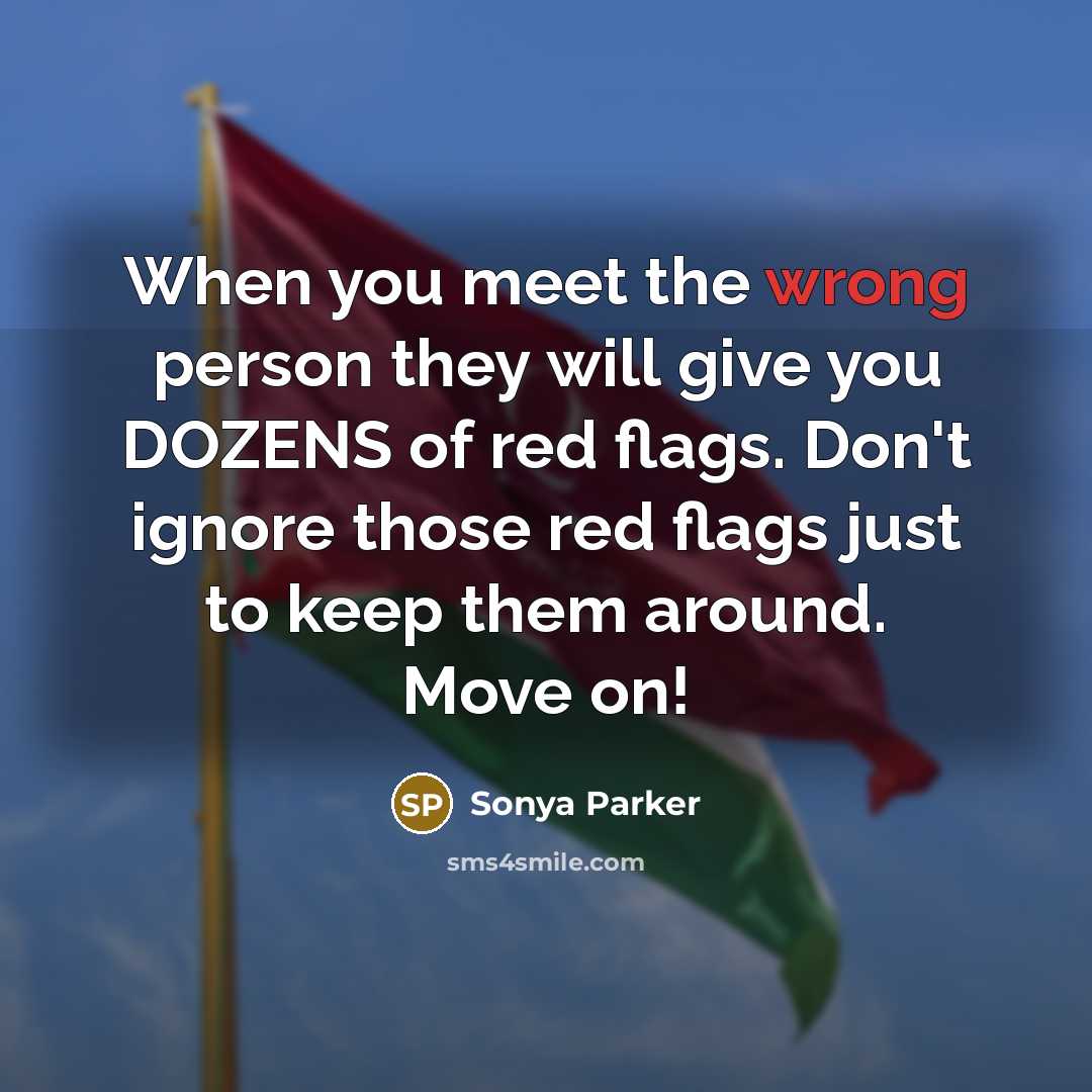 “When you meet the wrong person they will give you DOZENS of red flags. Don't ignore those red flags just to keep them around. Move on!” quote by Sonya Parker