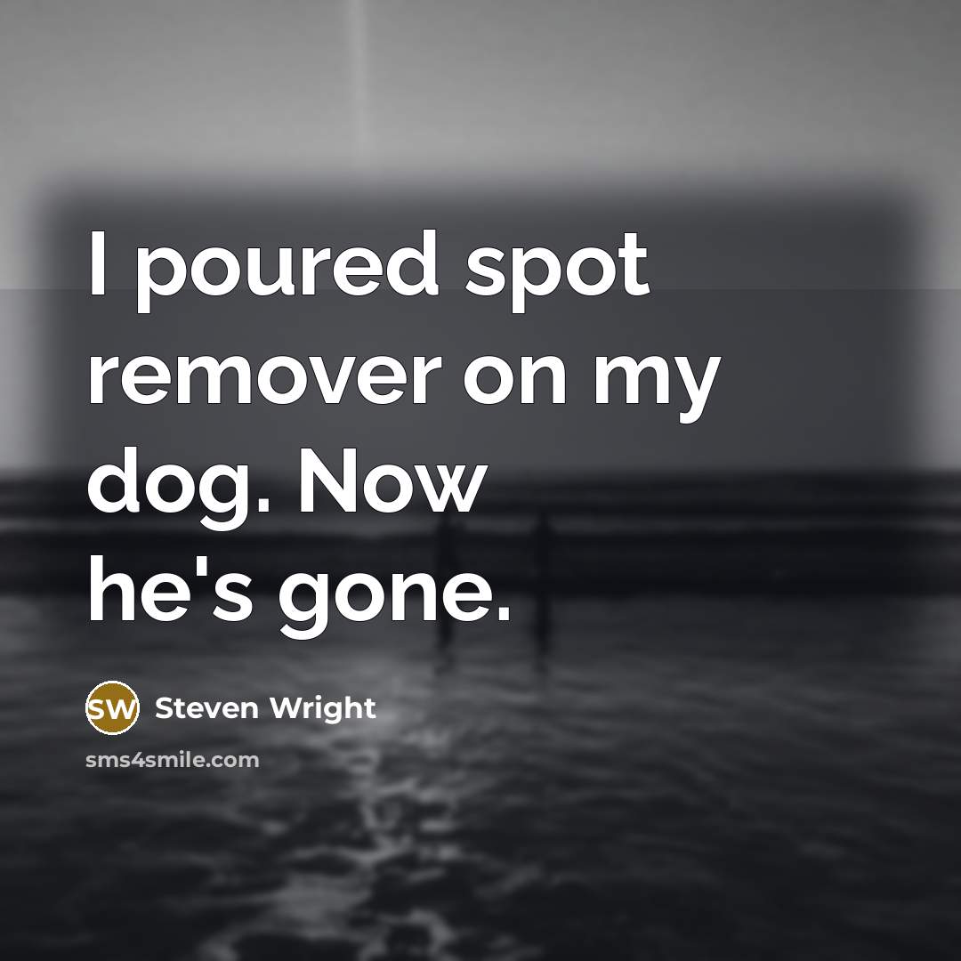 “I poured spot remover on my dog. Now he's gone.…” quote by Steven Wright