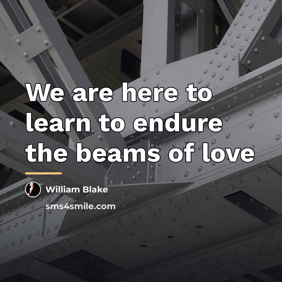 “We are here to learn to endure the beams of…” quote by William Blake