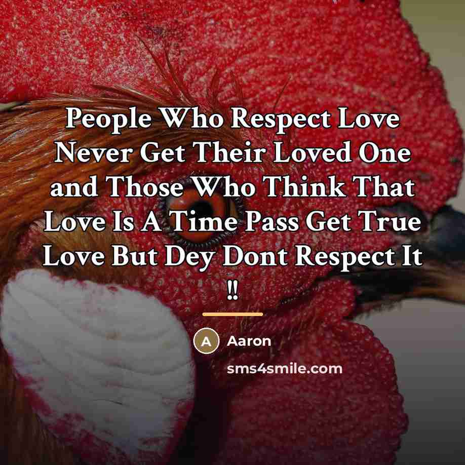 “People Who Respect Love Never Get Their Loved One and…” quote by AaRon