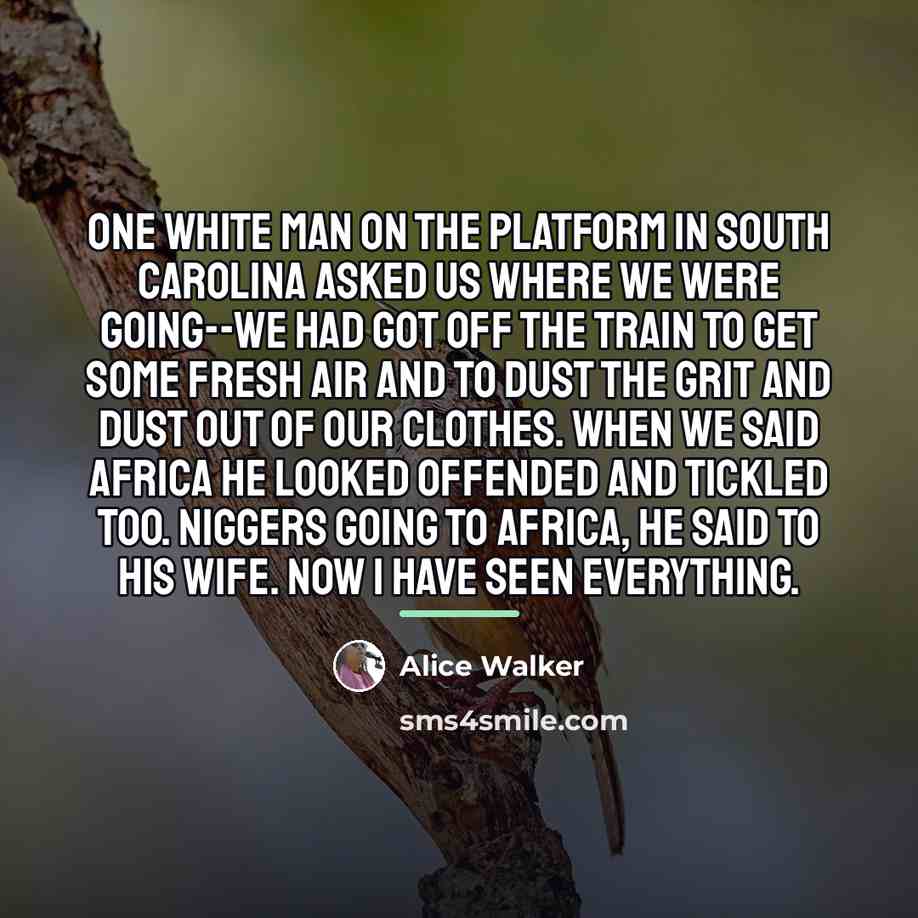 “One white man on the platform in South Carolina asked…” quote by Alice Walker