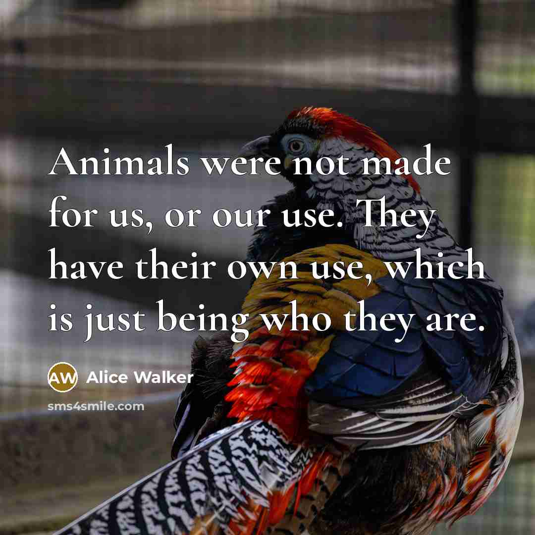 “Animals were not made for us, or our use. They…” quote by Alice Walker