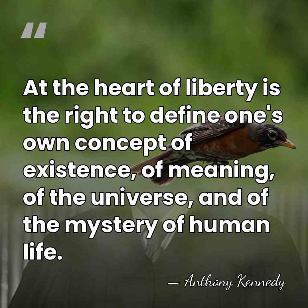 At the heart of liberty is the right to define one's own&hellip; - Anthony Kennedy