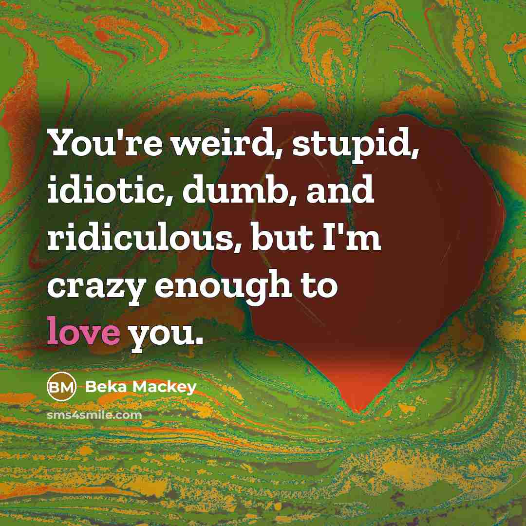 “You're weird, stupid, idiotic, dumb, and ridiculous, but I'm crazy…” quote by Beka Mackey
