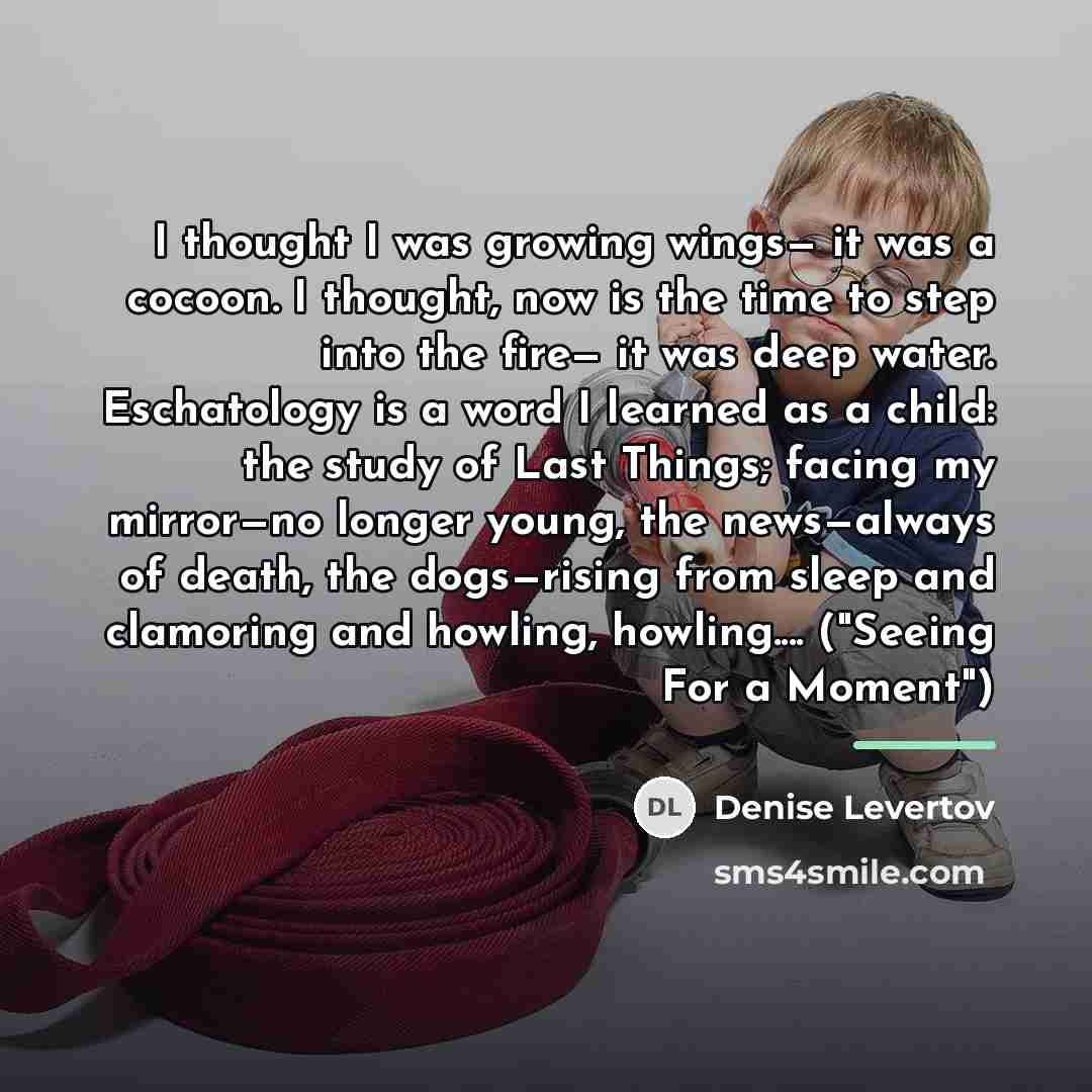 “I thought I was growing wings— it was a cocoon.…” quote by Denise Levertov