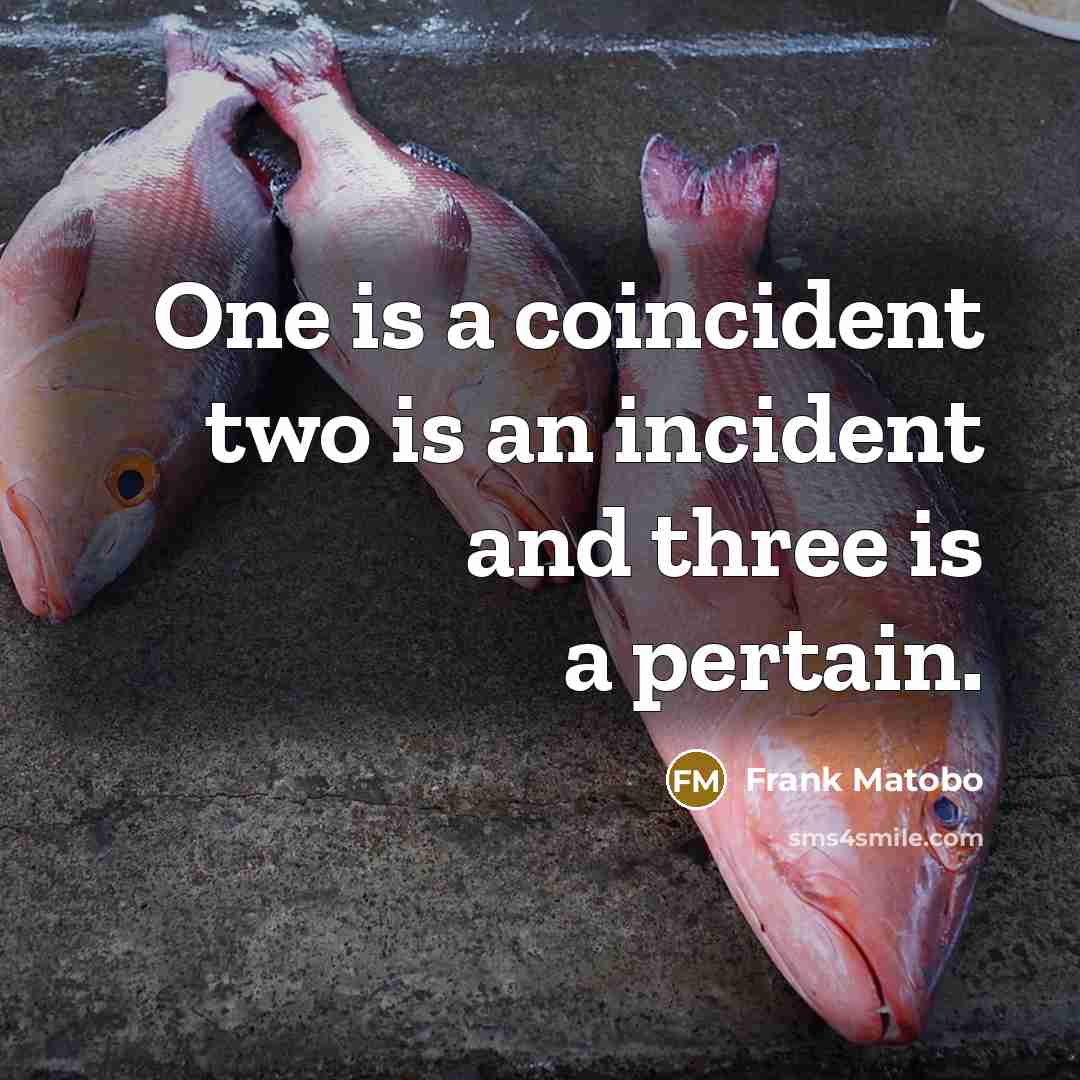 “One is a coincident two is an incident and three is a pertain.” quote by Frank Matobo