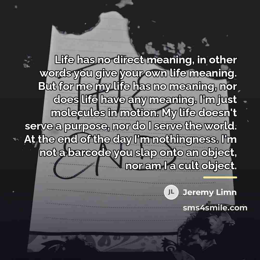 “Life has no direct meaning, in other words you give…” quote by Jeremy Limn
