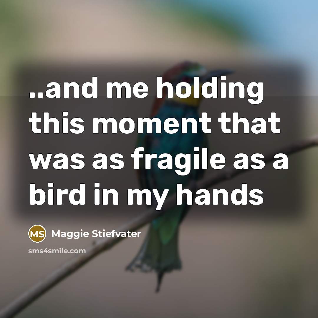 “..and me holding this moment that was as fragile as…” quote by Maggie Stiefvater