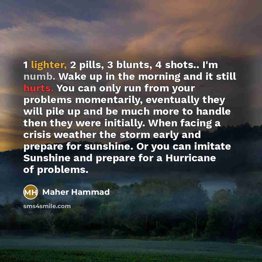 “1 lighter, 2 pills, 3 blunts, 4 shots.. I'm numb. Wake up in the morning and it still hurts. You can only run from your problems momentarily, eventually they will pile up and be much more to handle then they were initially. When facing a crisis weather the storm early and prepare for sunshine. Or…” quote by Maher Hammad