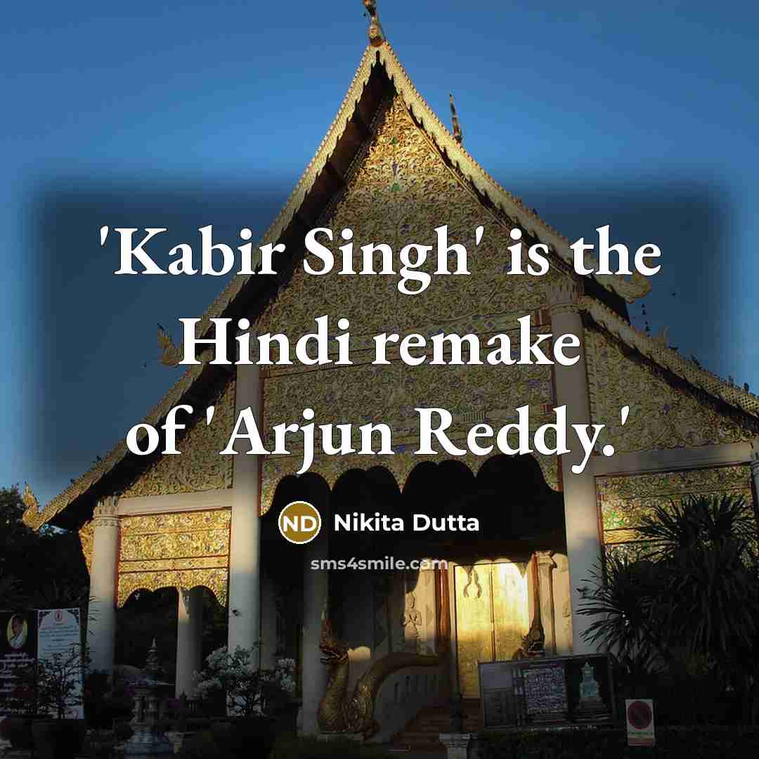 “'Kabir Singh' is the Hindi remake of 'Arjun Reddy.'” quote by Nikita Dutta