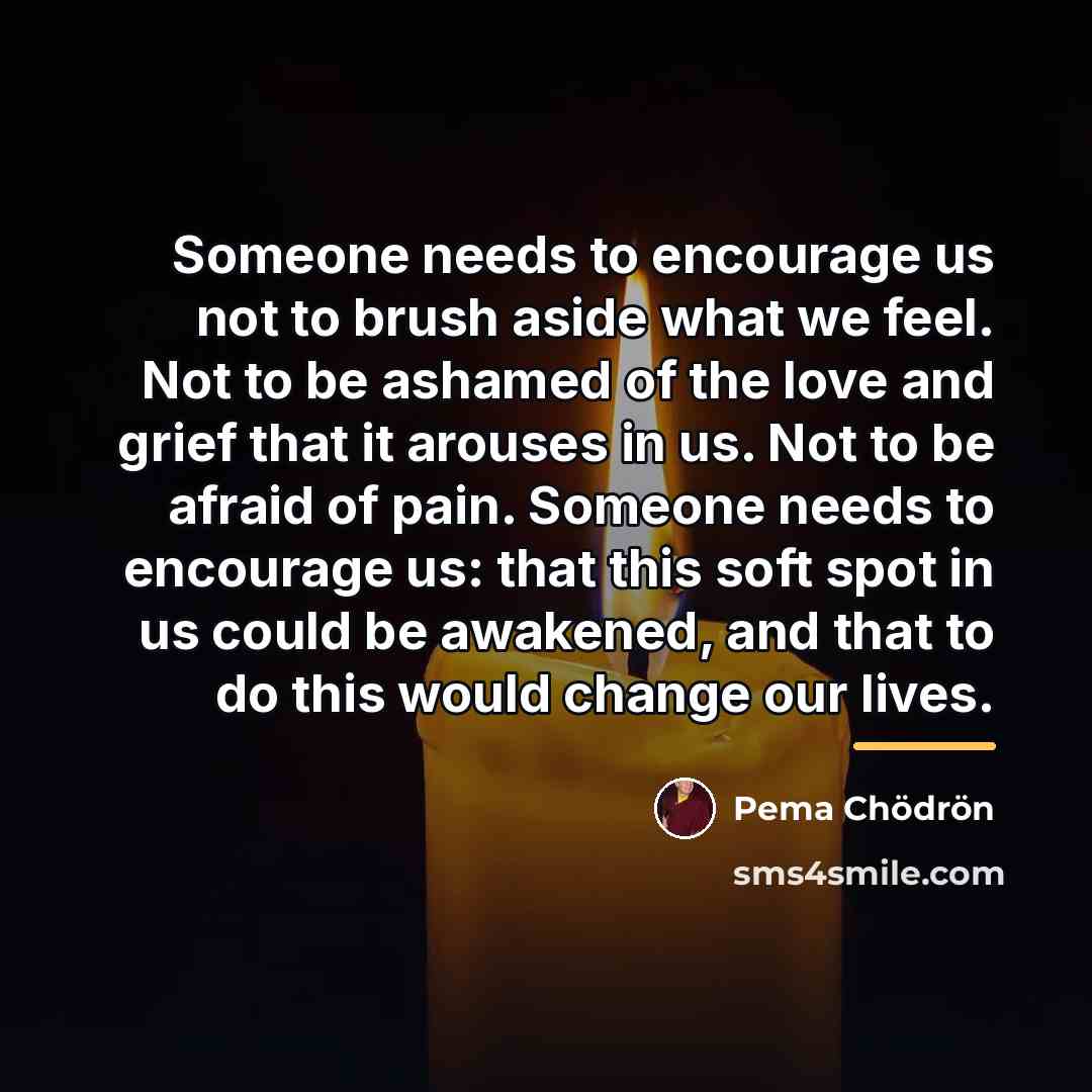 “Someone needs to encourage us not to brush aside what…” quote by Pema Chodron