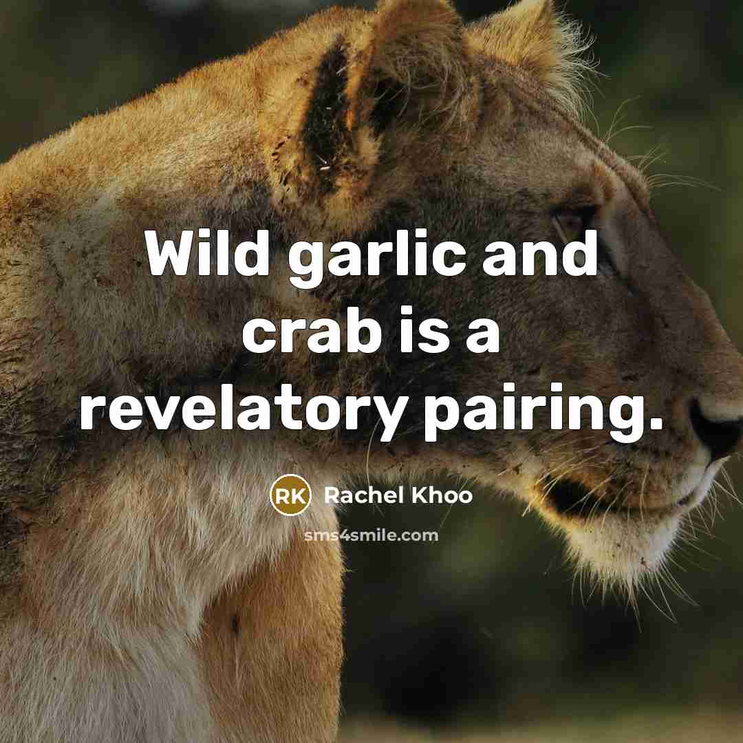 “Wild garlic and crab is a revelatory pairing.…” quote by Rachel Khoo