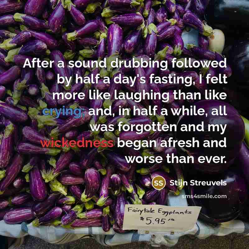 “After a sound drubbing followed by half a day's fasting,…” quote by Stijn Streuvels