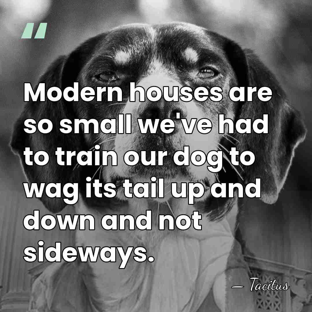 Modern houses are so small we've had to train our dog to&hellip; - Tacitus