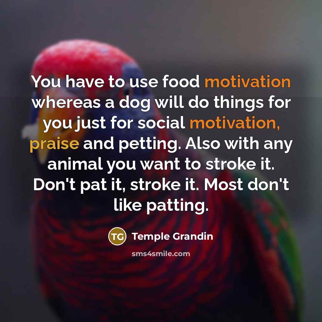 “You have to use food motivation whereas a dog will…” quote by Temple Grandin