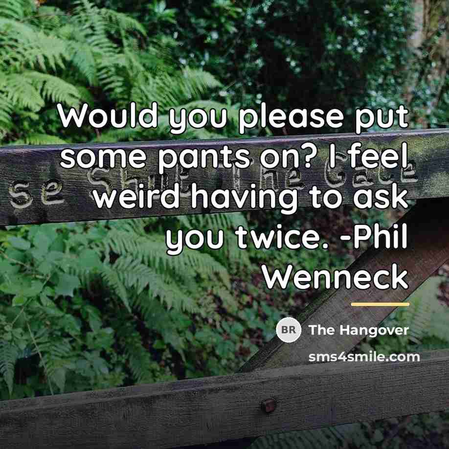 “Would you please put some pants on? I feel weird…” quote by The Hangover