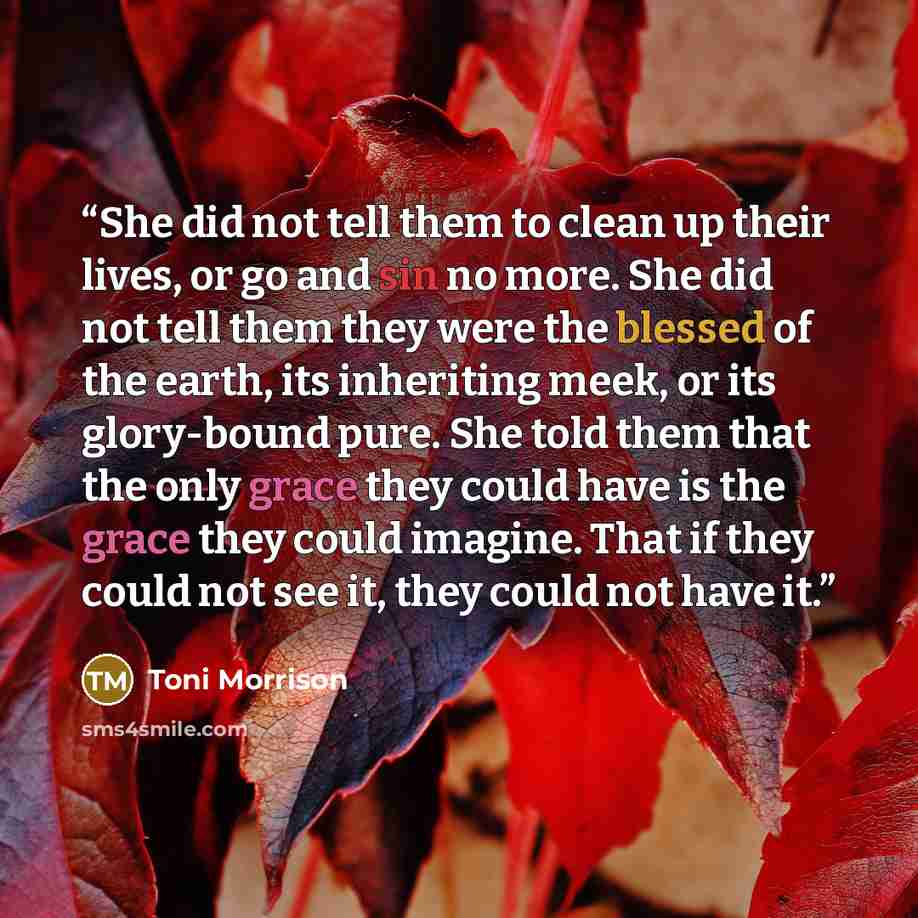 “She did not tell them to clean up their lives, or go and sin no more. She did not tell them they were the blessed of the earth, its inheriting meek, or its glory-bound pure. She told them that the only grace they could have is the grace they could imagine. That if they could not see it, they could…” quote by Toni Morrison