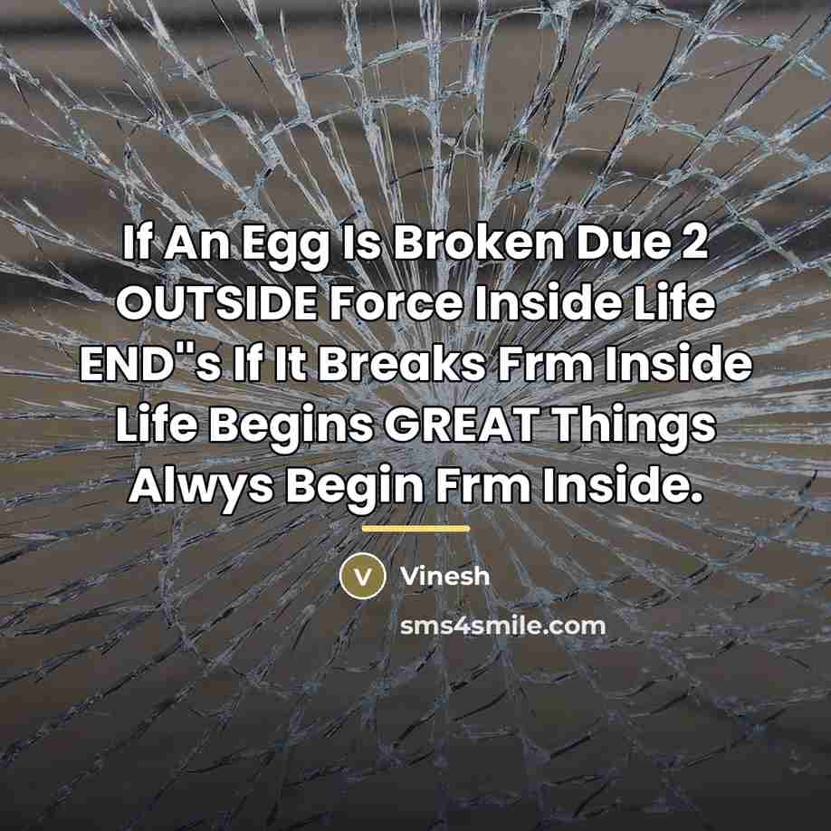“If An Egg Is Broken Due 2 OUTSIDE Force Inside…” quote by Vinesh