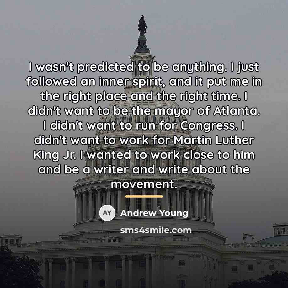 “I wasn't predicted to be anything. I just followed an…” quote by Andrew Young