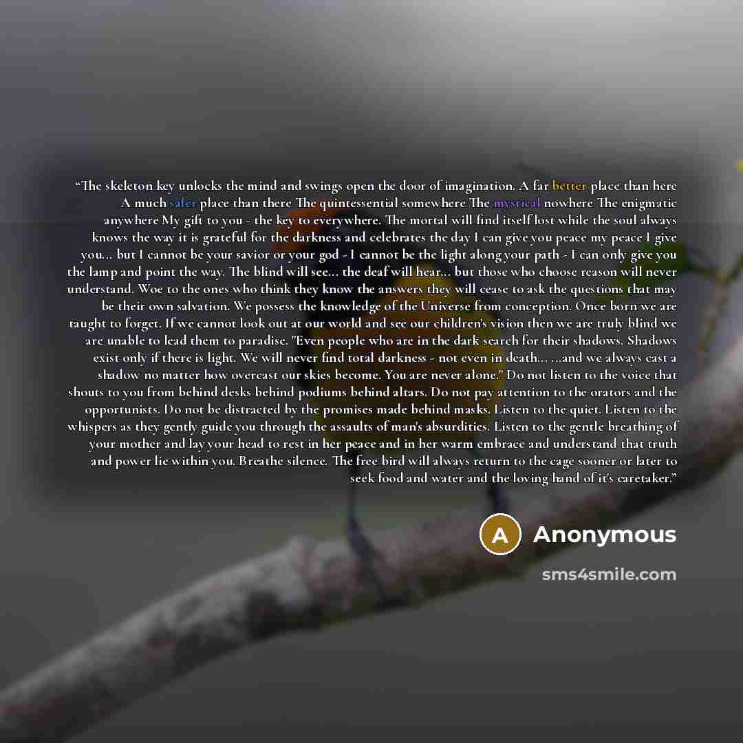 “The skeleton key unlocks the mind and swings open the door of imagination. A far better place than here A much safer place than there The quintessential somewhere The mystical nowhere The enigmatic anywhere My gift to you - the key to everywhere. The mortal will find itself lost while the soul…” quote by Anonymous