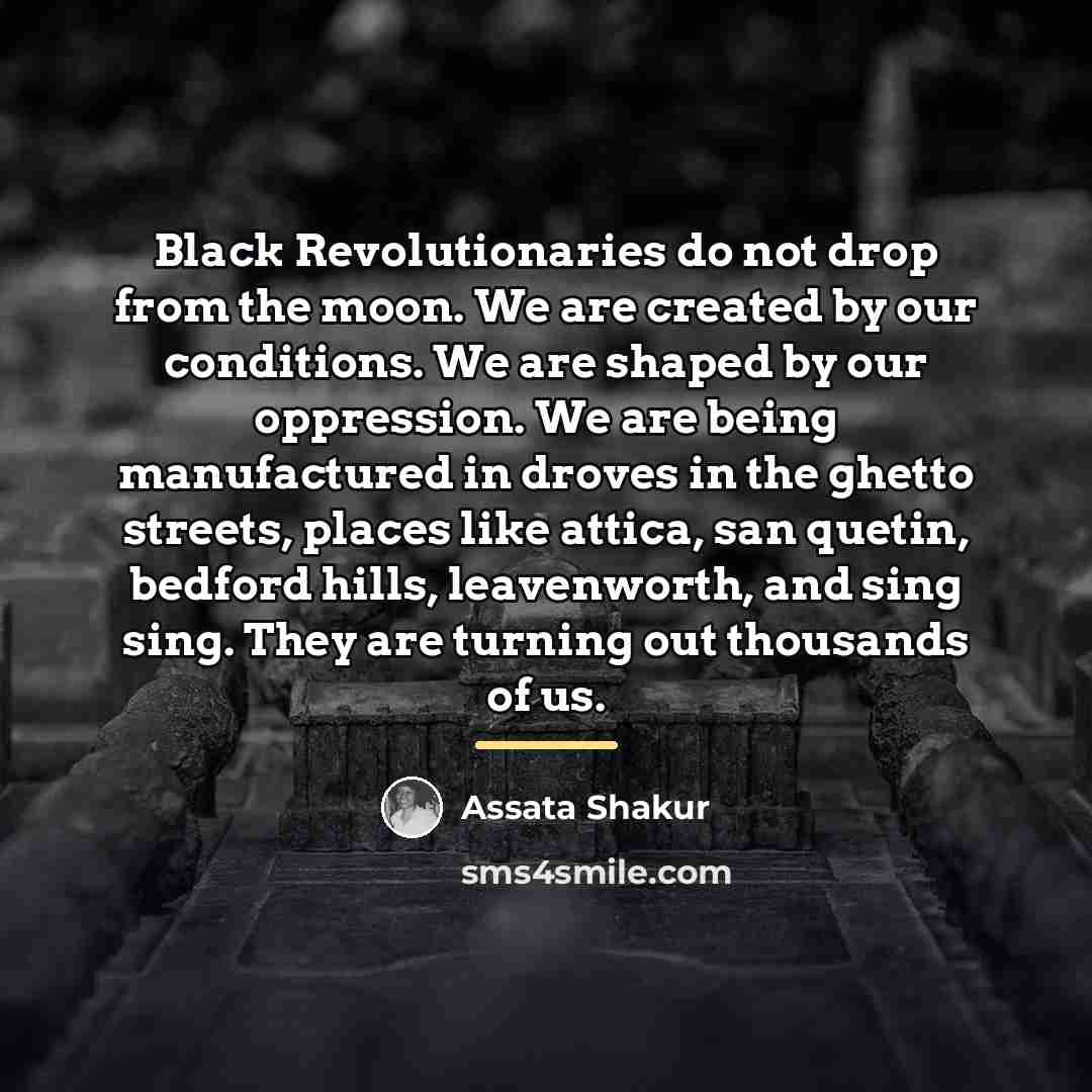 “Black Revolutionaries do not drop from the moon. We are…” quote by Assata Shakur
