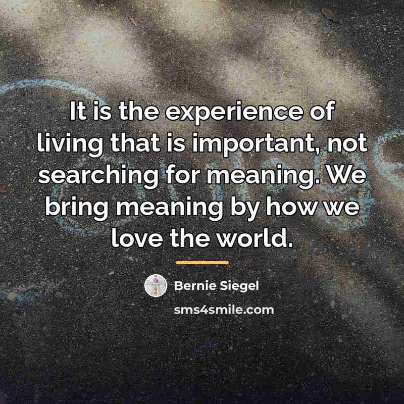 “It is the experience of living that is important, not…” quote by Bernie Siegel