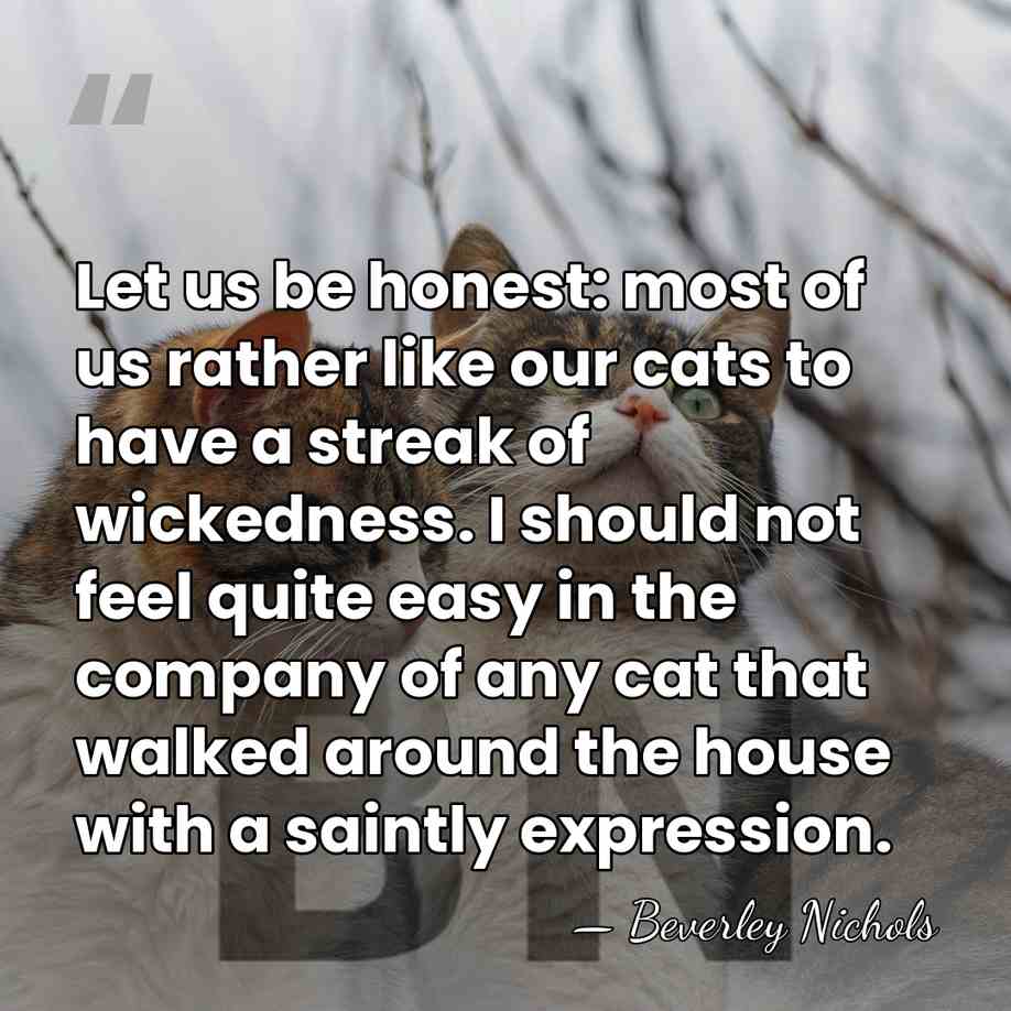 Let us be honest: most of us rather like our cats to&hellip; - Beverley Nichols