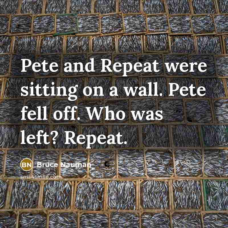 “Pete and Repeat were sitting on a wall. Pete fell…” quote by Bruce Nauman