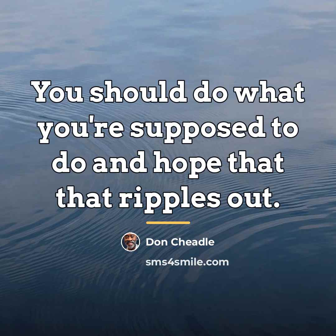 “You should do what you're supposed to do and hope…” quote by Don Cheadle