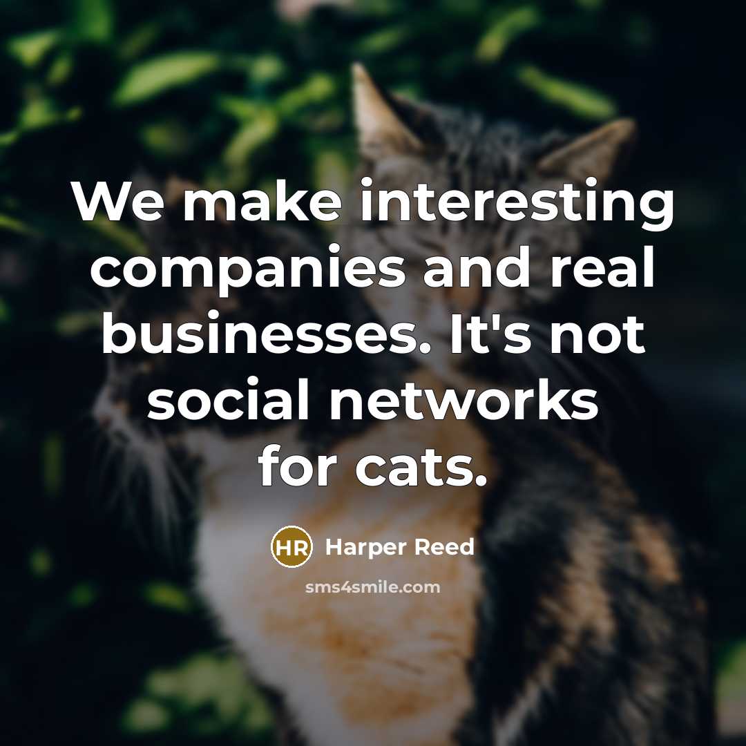“We make interesting companies and real businesses. It's not social…” quote by Harper Reed