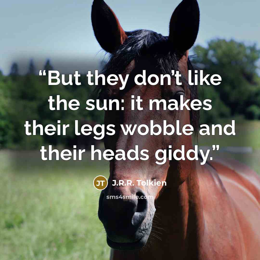 “But they don’t like the sun: it makes their legs wobble and their heads giddy.” quote by J.R.R. Tolkien